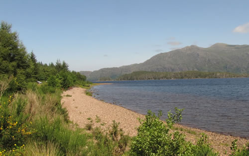 View of the shore and Loch Maree at Slatterdale