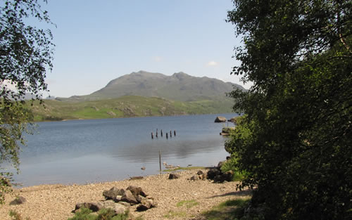 The shore of Loch Maree at Tollie